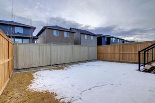 Photo 47: 456 Bayview Way SW: Airdrie Detached for sale : MLS®# A1177678