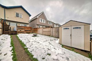 Photo 22: 132 Elgin Meadows View SE in Calgary: McKenzie Towne Semi Detached (Half Duplex) for sale : MLS®# A2127795