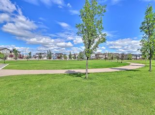 Photo 44: 359 Hillcrest Heights SW: Airdrie Detached for sale : MLS®# A1250913