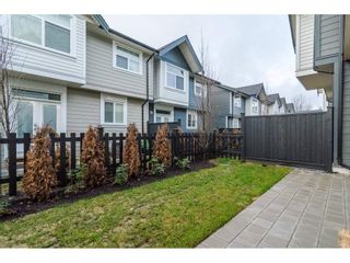 Photo 6: 65 7665 209 Street in Langley: Willoughby Heights Townhouse for sale : MLS®# R2243562