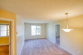 Photo 10: 1204 1317 27 Street SE in Calgary: Albert Park/Radisson Heights Apartment for sale : MLS®# A1236063