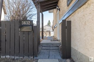 Photo 43: 3632 43A Avenue in Edmonton: Zone 29 House for sale : MLS®# E4287880