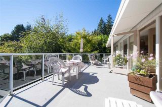 Photo 19: 730 ANDERSON Crescent in West Vancouver: Sentinel Hill House for sale : MLS®# R2110638