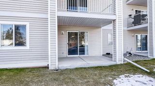 Photo 23: 2107 6224 17 Avenue SE in Calgary: Red Carpet Apartment for sale : MLS®# A2120000