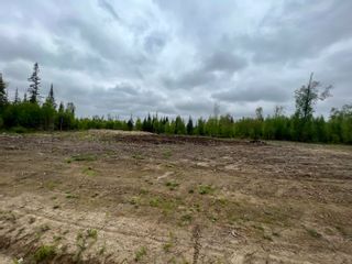 Photo 14: DL 13174 GAGNON SUBD Street in Mackenzie: Mackenzie -Town Land for sale in "GAGNON SUBDIVISION" : MLS®# R2754950