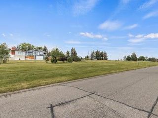 Photo 7: 1008 Trafford Drive NW in Calgary: Thorncliffe Detached for sale : MLS®# A2000159