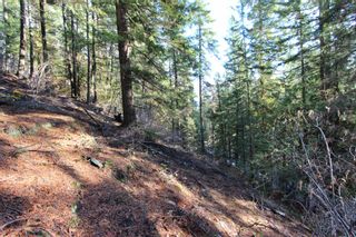 Photo 9: Lot 22 Vickers Trail: Anglemont Vacant Land for sale (North Shuswap)  : MLS®# 10243424