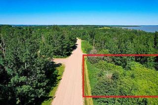 Photo 3: Lakeview Drive: Rural Camrose County Residential Land for sale : MLS®# A2129369
