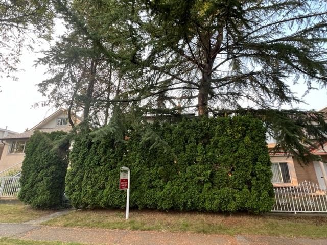 Main Photo: 3429 NAPIER Street in Vancouver: Renfrew VE House for sale (Vancouver East)  : MLS®# R2809678
