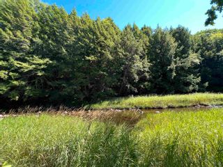 Photo 4: West River Station Road in Salt Springs: 108-Rural Pictou County Vacant Land for sale (Northern Region)  : MLS®# 202220517