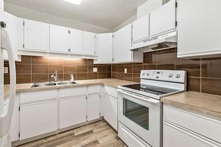 Photo 12: 102 333 Garry Crescent NE in Calgary: Greenview Apartment for sale : MLS®# A2122981