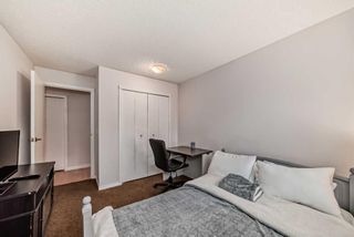 Photo 13: 103 1917 24A Street SW in Calgary: Richmond Apartment for sale : MLS®# A2128198
