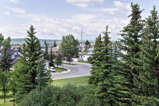 Photo 9: 222 SCENIC VIEW BA NW in Calgary: Scenic Acres House for sale : MLS®# C4188448