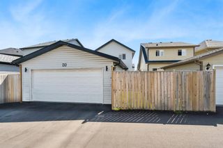 Photo 24: 66 Skyview Springs Rise NE in Calgary: Skyview Ranch Detached for sale : MLS®# A1251481