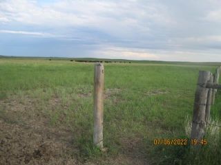 Photo 1: Township 17 Section 11,  Range Road 232: Rural Vulcan County Residential Land for sale : MLS®# A2022517