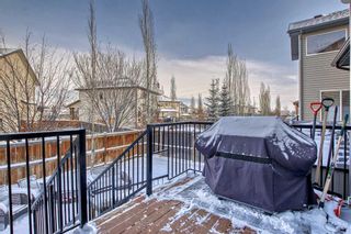 Photo 43: 117 Seagreen Manor: Chestermere Detached for sale : MLS®# A2121597