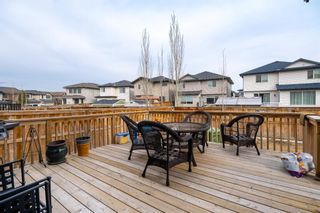 Photo 45: 96 Walden Rise SE in Calgary: Walden Detached for sale : MLS®# A2034768