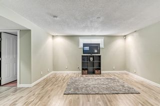 Photo 27: 24 Coventry Hills Drive NE in Calgary: Coventry Hills Detached for sale : MLS®# A1217397