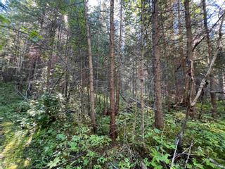 Photo 12: LOT 3 CAVE Road in Williams Lake: Horsefly Land for sale : MLS®# R2719437