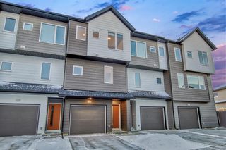 Main Photo: 307 Skyview Ranch Circle NE in Calgary: Skyview Ranch Row/Townhouse for sale : MLS®# A2010615