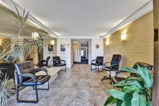 Photo 4: 104 11957 223 Street in Maple Ridge: West Central Condo for sale in "Alouette Apartments" : MLS®# R2586639