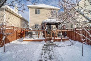 Photo 31: 239 Bridlewood Avenue SW in Calgary: Bridlewood Detached for sale : MLS®# A1181898