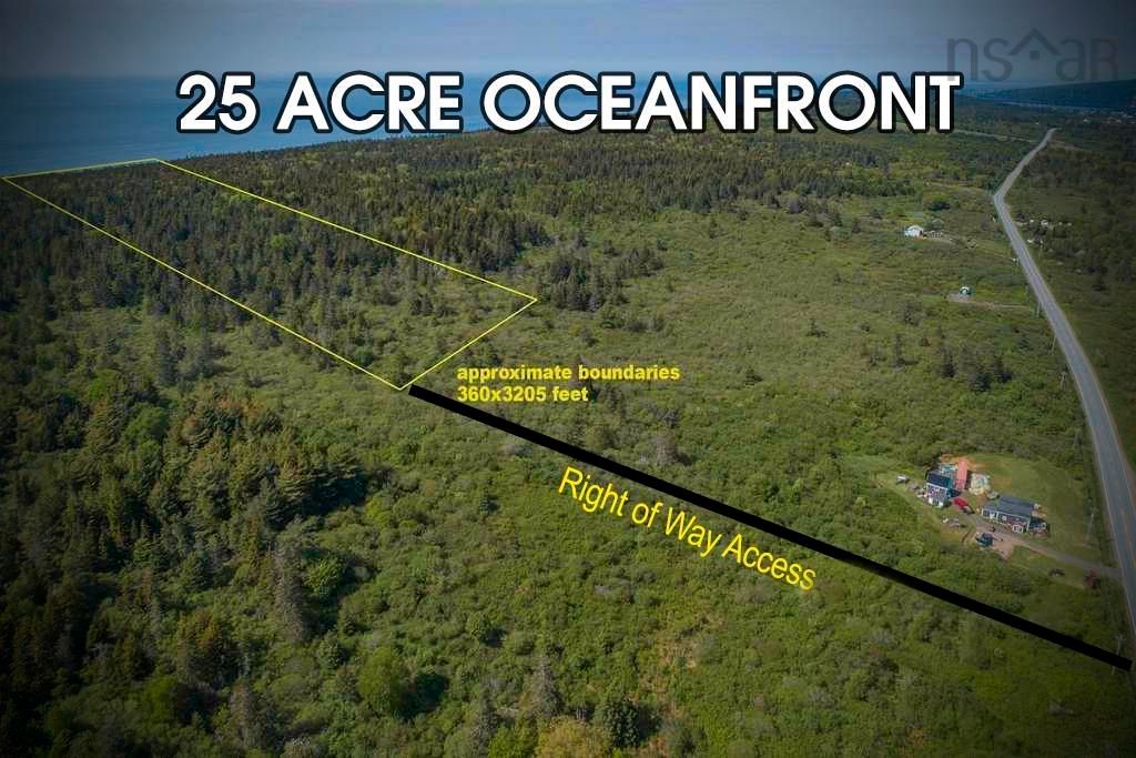 Main Photo: Lot 2 Highway 317 in Central Grove: Digby County Vacant Land for sale (Annapolis Valley)  : MLS®# 202304340