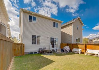 Photo 36: 87 Royal Elm Way NW in Calgary: Royal Oak Detached for sale : MLS®# A1221119