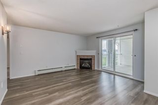 Photo 14: 417 1717 60 Street SE in Calgary: Red Carpet Apartment for sale : MLS®# A2053930