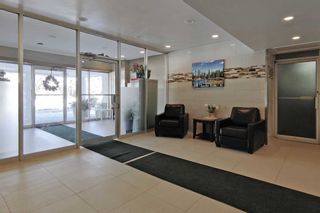 Photo 3: 102 2485 Woking Crescent in Mississauga: Sheridan Condo for sale : MLS®# W5970505