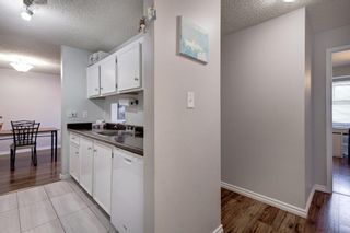 Photo 8: 427 550 Westwood Drive SW in Calgary: Westgate Apartment for sale : MLS®# A2050573