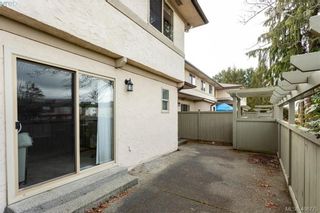 Photo 24: 19 4061 Larchwood Dr in VICTORIA: SE Lambrick Park Row/Townhouse for sale (Saanich East)  : MLS®# 808408