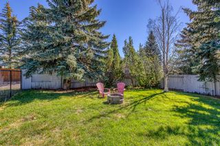 Photo 6: 552 Silvergrove Drive NW in Calgary: Silver Springs Detached for sale : MLS®# A1251352