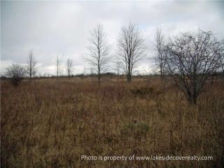 Photo 11: 2489 Concession Road 3 Road in Ramara: Brechin Property for sale : MLS®# X3371303