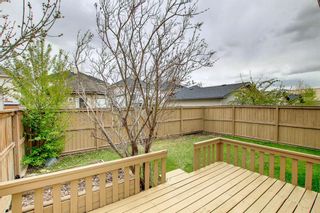 Photo 42: 211 Cranberry Way SE in Calgary: Cranston Detached for sale : MLS®# A1217518