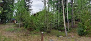 Photo 29: 3184 ELSEY Road: Chilcotin House for sale (Williams Lake)  : MLS®# R2780026