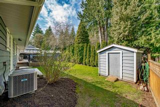Photo 34: 20251 49 Avenue in Langley: Langley City House for sale in "Langley City" : MLS®# R2670060