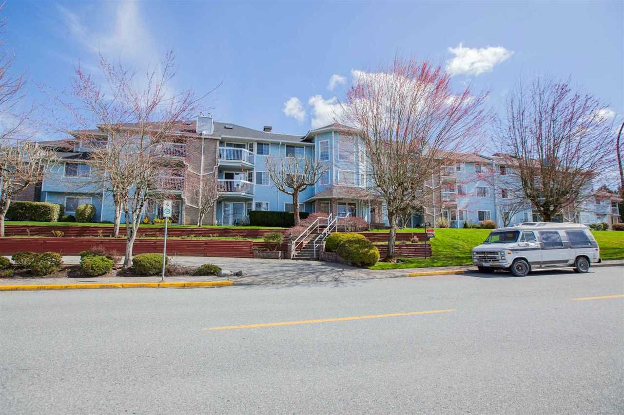 Main Photo: 312 11510 225 Street in Maple Ridge: East Central Condo for sale in "RIVERSIDE" : MLS®# R2355823