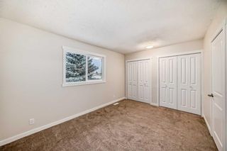 Photo 9: 6740 Temple Drive NE in Calgary: Temple Detached for sale : MLS®# A2116546