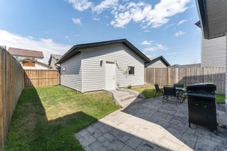 Photo 23: 66 Skyview Springs Rise NE in Calgary: Skyview Ranch Detached for sale : MLS®# A1251481