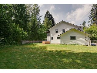 Photo 34: 25990 116TH Avenue in Maple Ridge: Websters Corners House for sale : MLS®# V1097441
