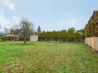 Photo 13: 536 Kenneth St in VICTORIA: SW Glanford House for sale (Saanich West)  : MLS®# 831831