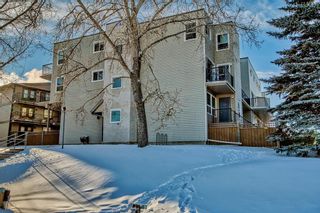 Photo 35: 101 3615A 49 Street NW in Calgary: Varsity Apartment for sale : MLS®# A2016372