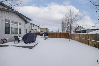 Photo 37: 274 Lakeview Inlet: Chestermere Detached for sale : MLS®# A2022781