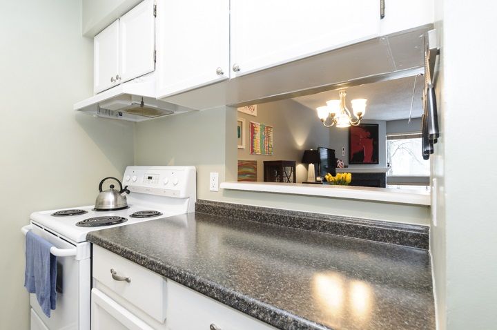 Photo 8: Photos: 207 607 E 8TH AVENUE in Vancouver: Mount Pleasant VE Condo for sale (Vancouver East)  : MLS®# R2138438