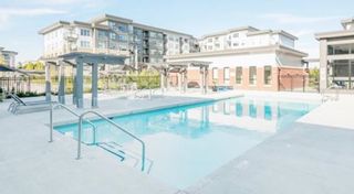 Photo 19: 225 9388 TOMICKI Avenue in Richmond: West Cambie Condo for sale in "Alexandra Court" : MLS®# R2601433