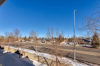 Photo 18: . 2733 Edenwold Heights NW in Calgary: Edgemont Apartment for sale : MLS®# A2034975