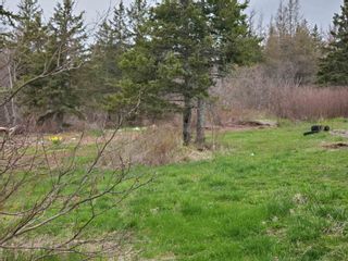 Photo 3: 1127 Hunter Road in West Wentworth: 103-Malagash, Wentworth Vacant Land for sale (Northern Region)  : MLS®# 202112124