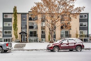 Photo 13: 202 2220 16a Street SW in Calgary: Bankview Apartment for sale : MLS®# A1043749