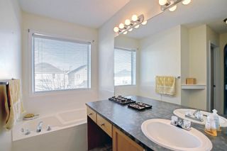 Photo 29: 25 Martha's Meadow Place NE in Calgary: Martindale Detached for sale : MLS®# A1259180